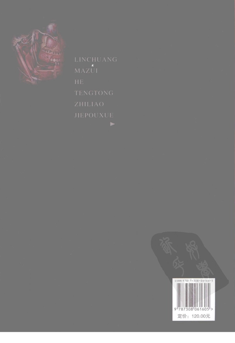 临床麻醉和疼痛治疗解剖学P_1-50.pdf_第2页