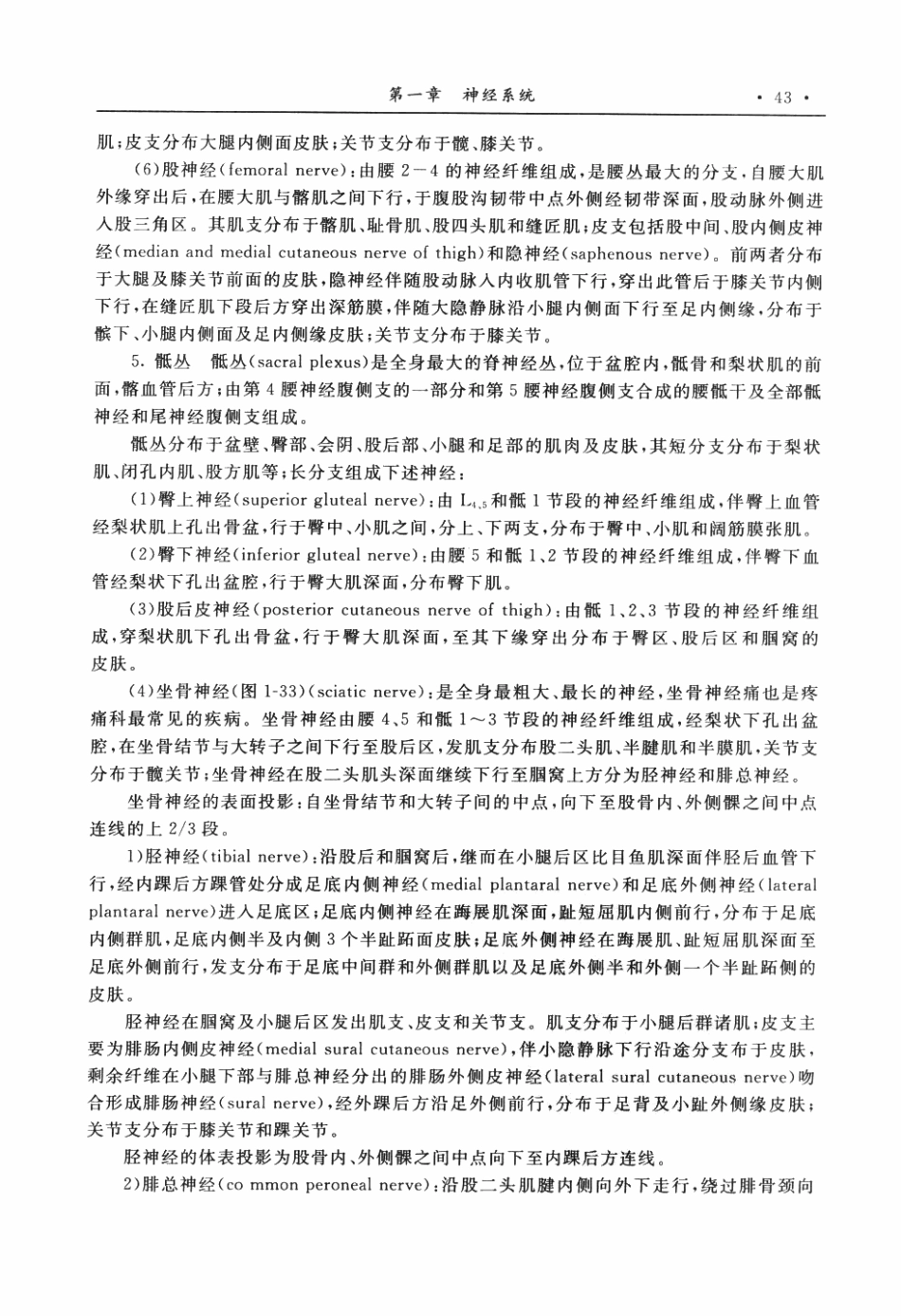 临床麻醉和疼痛治疗解剖学P_51-100.pdf_第2页