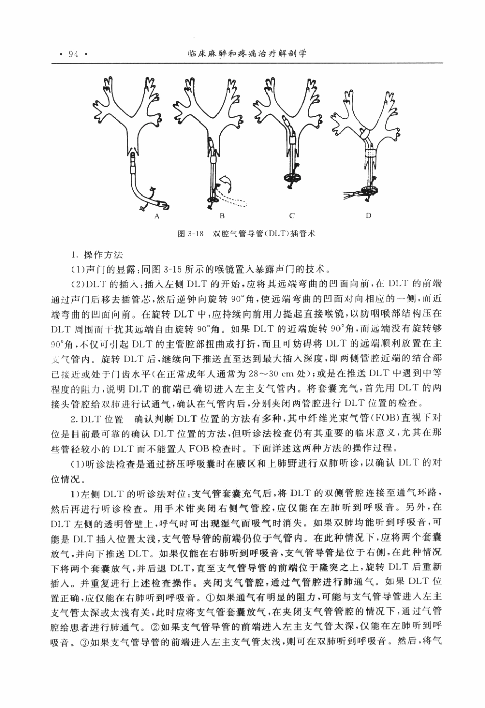 临床麻醉和疼痛治疗解剖学P_101-150.pdf_第3页