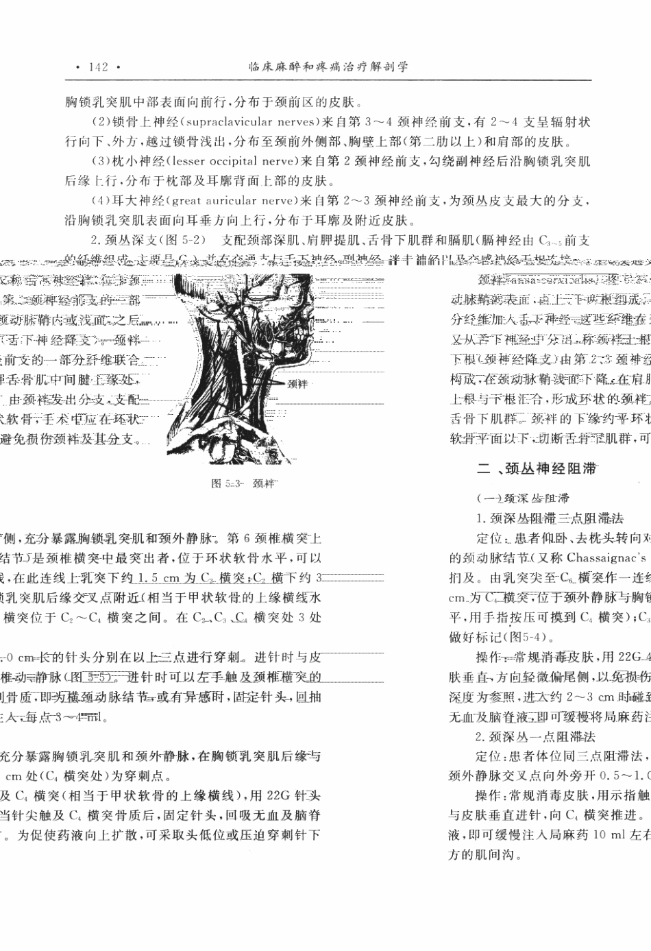 临床麻醉和疼痛治疗解剖学P_151-200.pdf_第1页