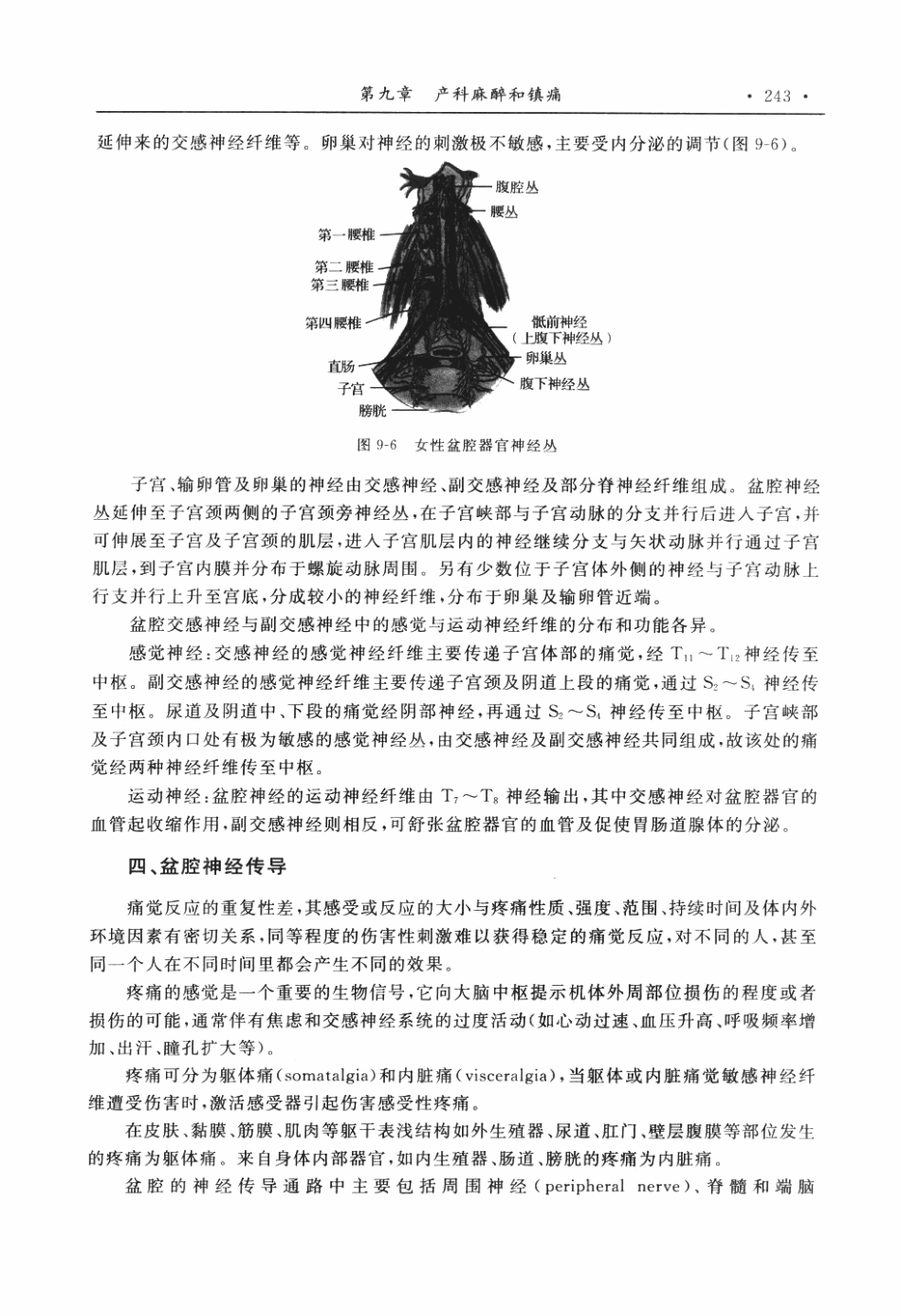 临床麻醉和疼痛治疗解剖学P_251-300.pdf_第2页