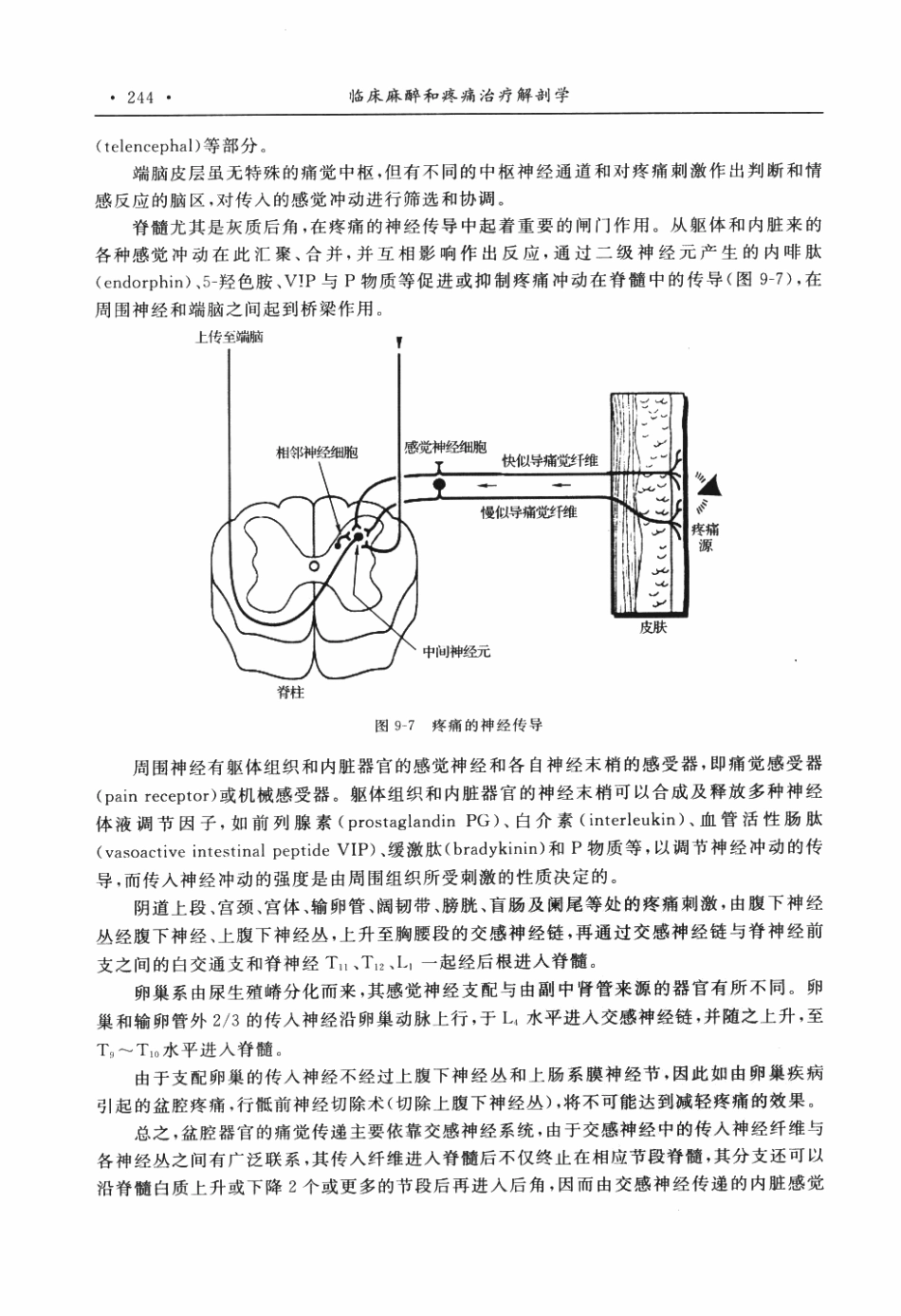 临床麻醉和疼痛治疗解剖学P_251-300.pdf_第3页