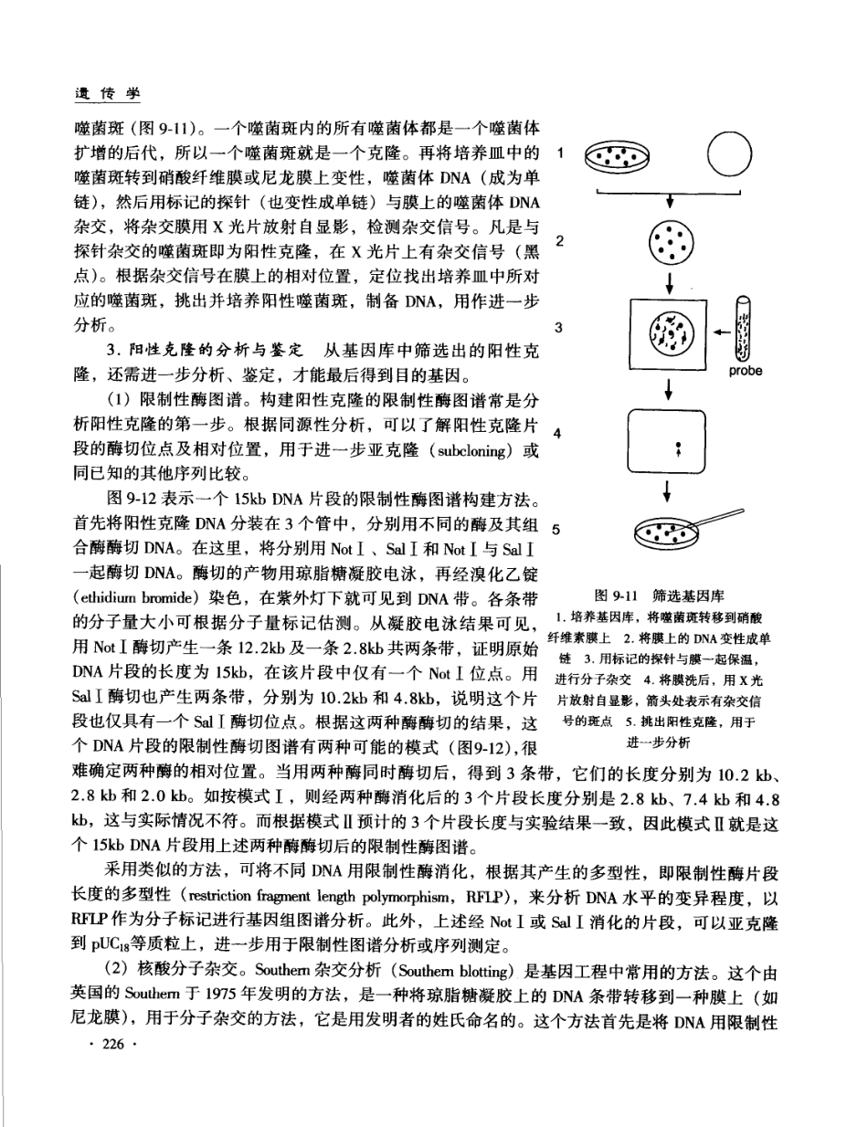 遗传学 第3版11867360_241-320.pdf_第2页
