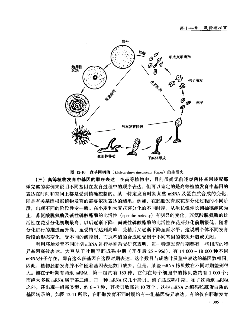 遗传学 第3版11867360_321-392.pdf_第1页