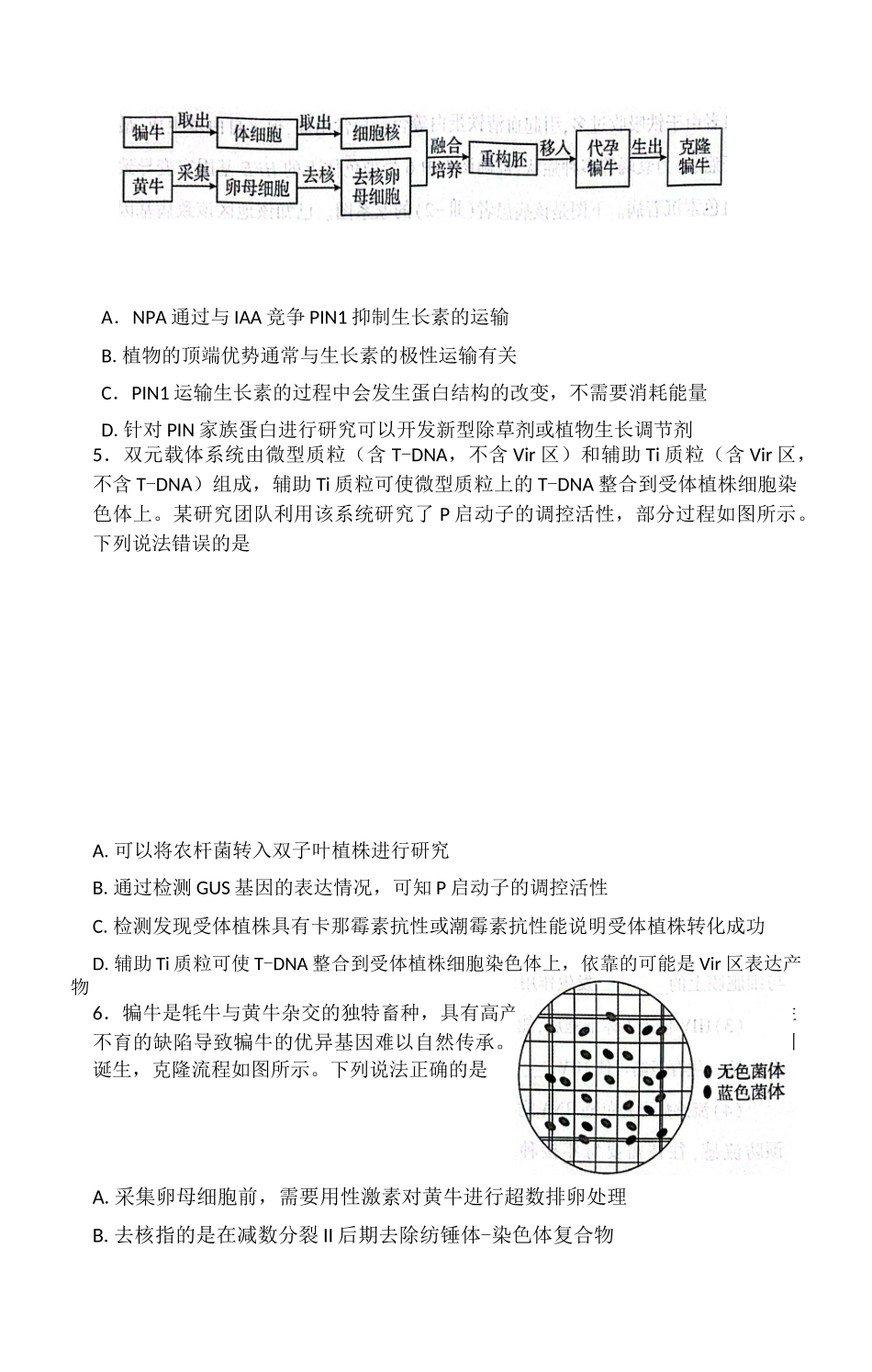 （黄石市荆门市鄂州市咸宁市恩施州）2026届高三9月起点考试生物.docx_第2页