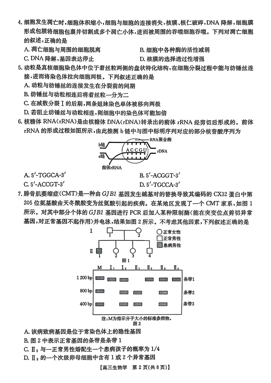 【生物】金太阳高三起点考试（26-04C）.pdf_第2页