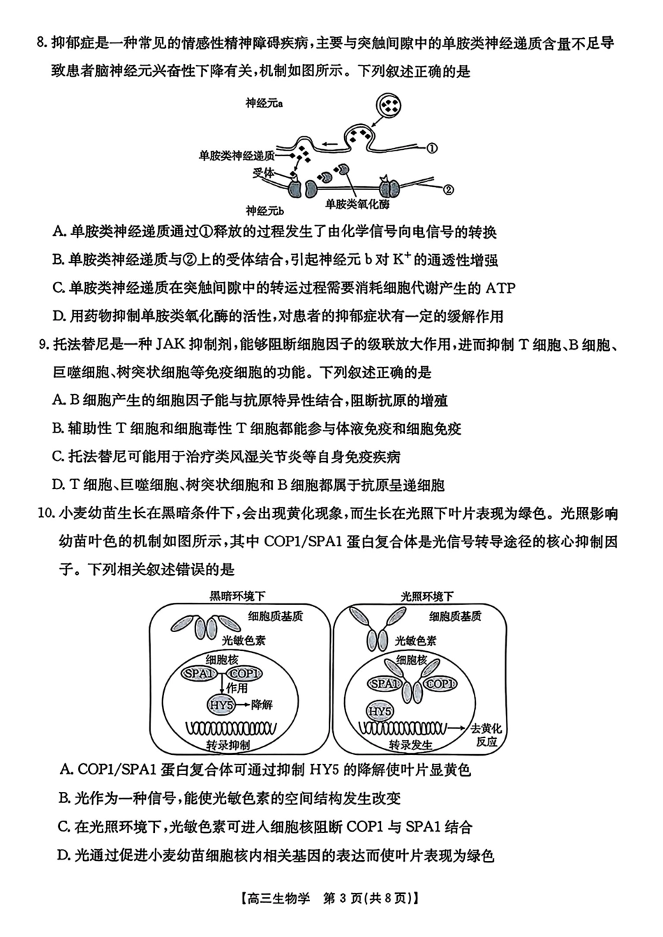 【生物】金太阳高三起点考试（26-04C）.pdf_第3页
