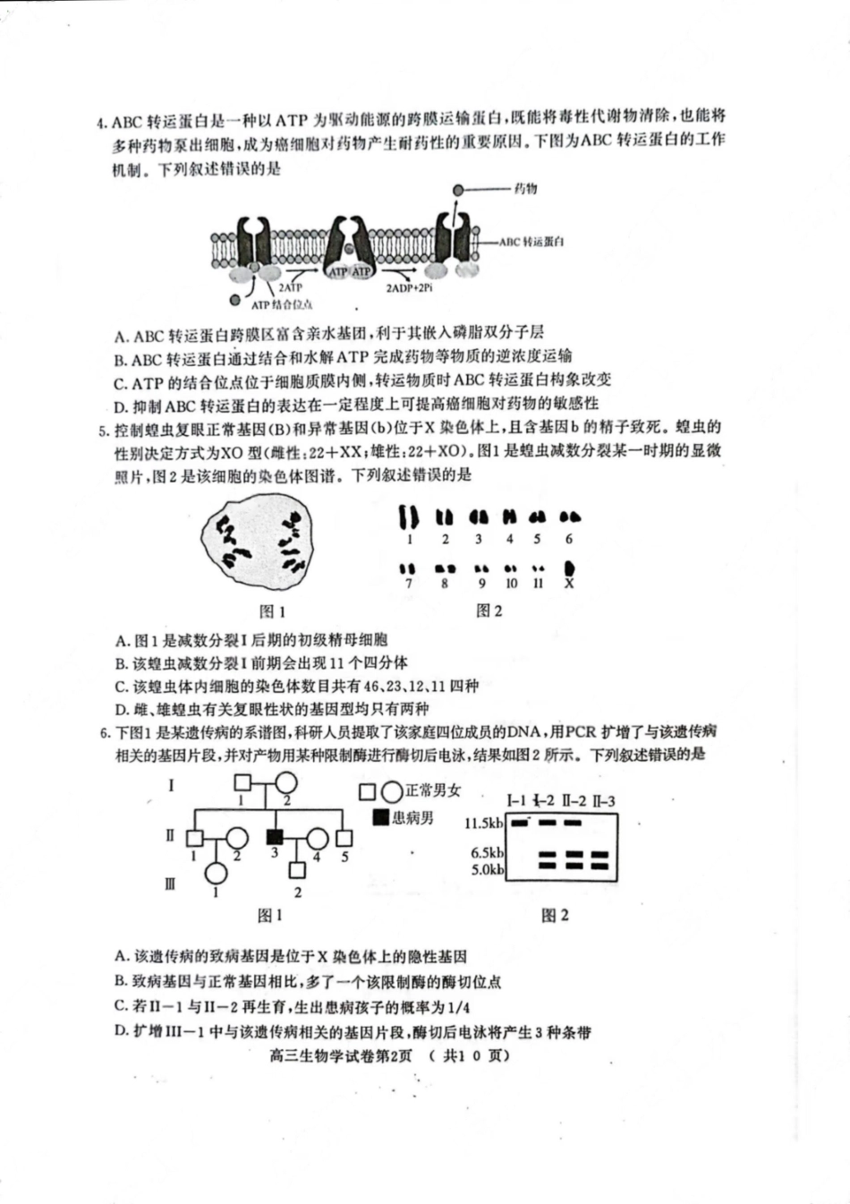 【生物试卷】【江苏卷】江苏省南京市2026届高三年级(九月)学情调研(南京高三零模)(9.18-9.19).pdf_第2页