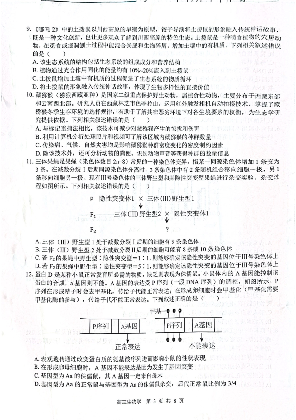 2026届“贵百河一南宁二中、武鸣高中”8月高三摸底考试生物.pdf_第3页