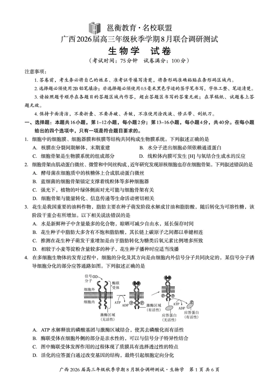广西2026届新高考秋季学期8月适应性联合测试生物.pdf_第1页