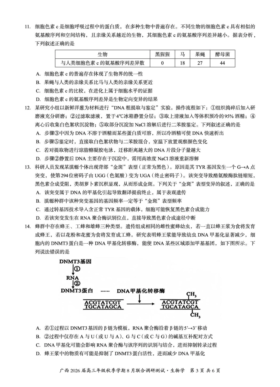 广西2026届新高考秋季学期8月适应性联合测试生物.pdf_第3页