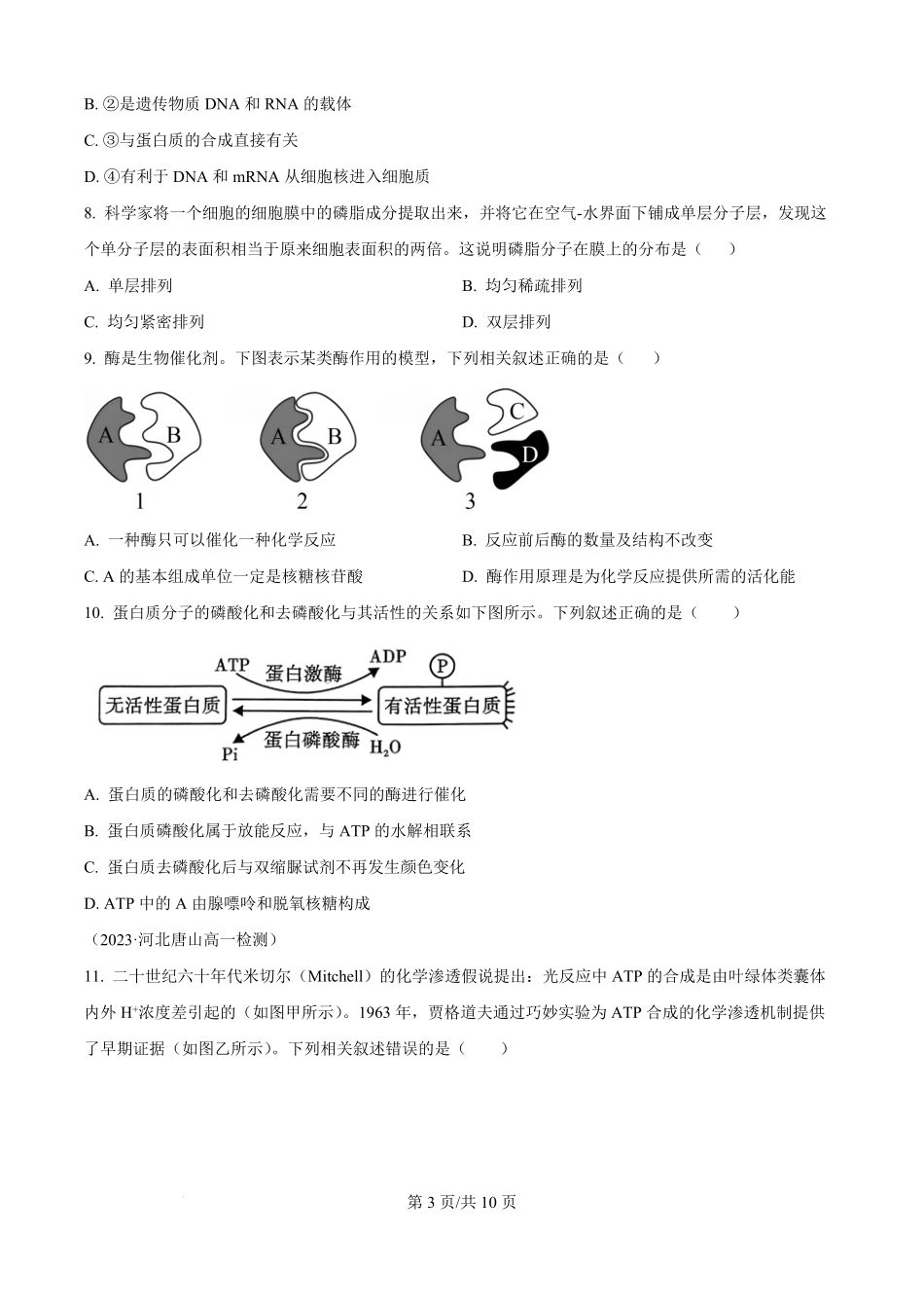 贵州省贵阳市南明区贵阳市第一中学2025-2026学年高一上学期开学生物试题（原卷版）.pdf_第3页