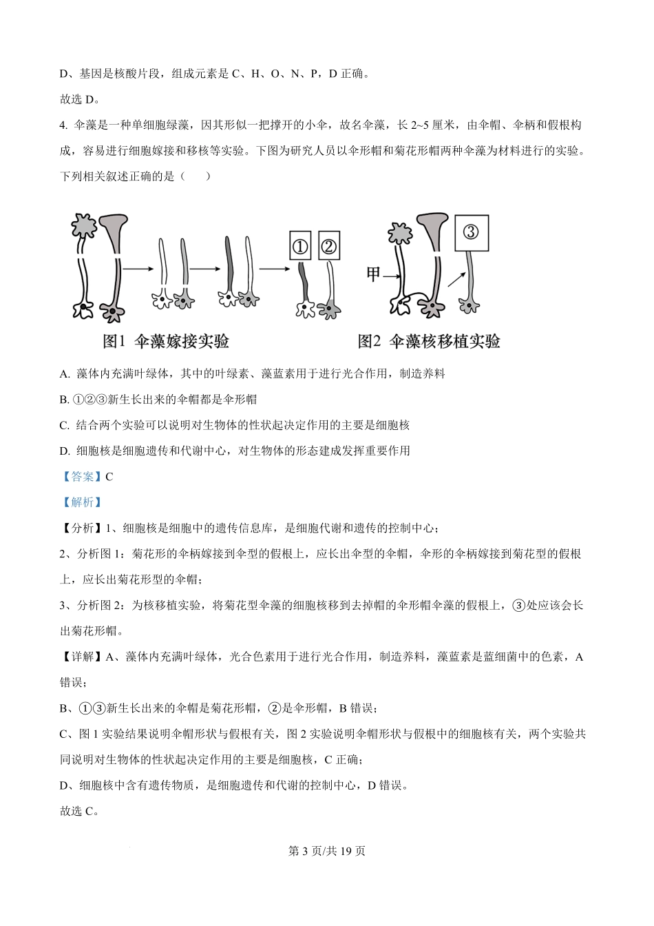 河南省信阳市浉河区信阳高级中学2025-2026学年高二上学期开学生物试题（解析版）.pdf_第3页