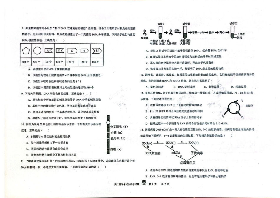 黑龙江省大庆实验中学2025-2026学年高二上学期开学考试生物试卷.pdf_第2页