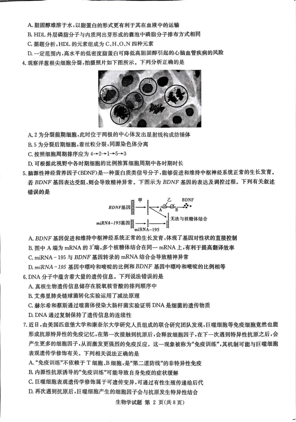 湖南省2026届高三九校联盟第一次联考生物.pdf_第2页