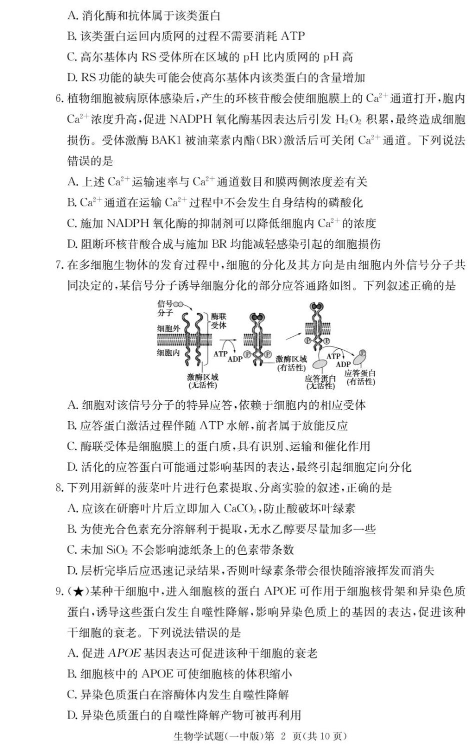 湖南省炎德英才大联考长沙市一中2026届高三月考试卷（一）生物.pdf_第2页