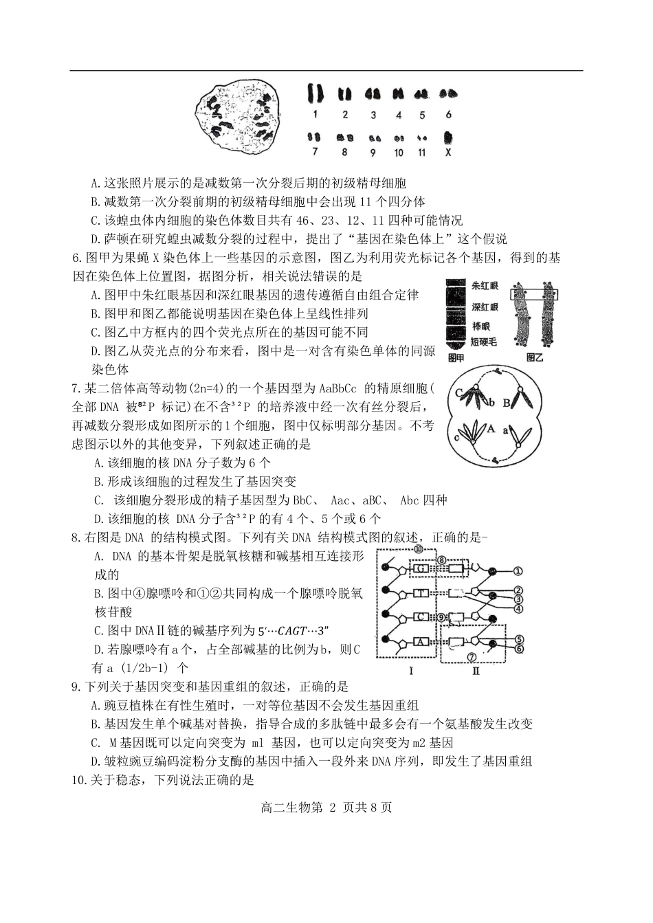 江苏省泰州市兴化市江苏省兴化中学2025-2026学年高二上学期开学生物试题（含答案）.pdf_第2页