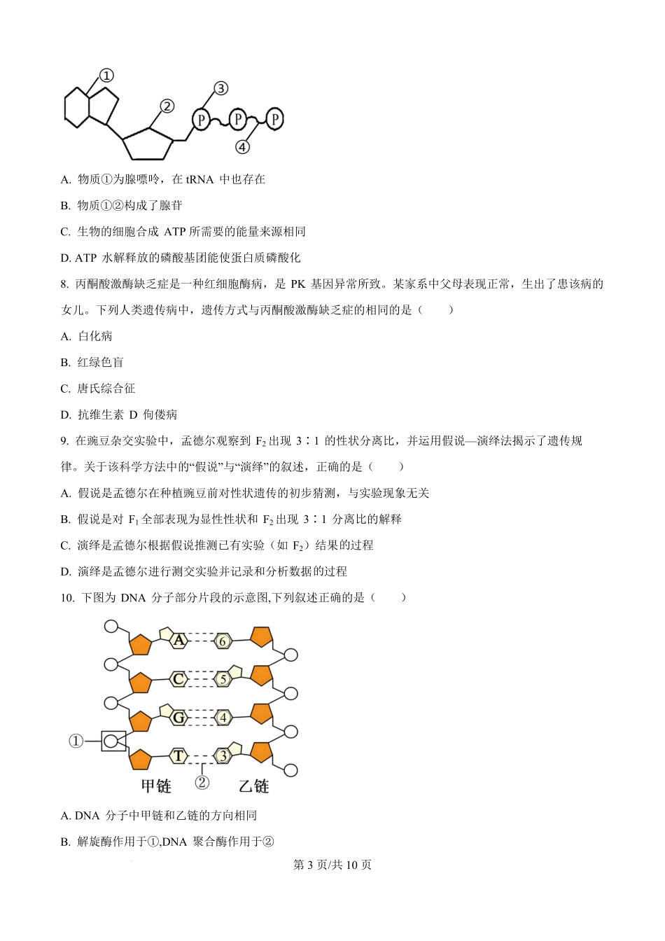 辽宁省部分学校2025-2026学年高二上学期9月开学联考生物试题（原卷版）.pdf_第3页
