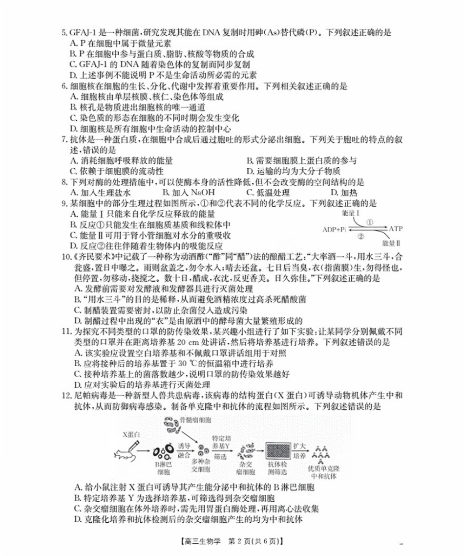 辽宁省金太阳2026届高三9月开学联考（26-16C）生物+答案.pdf_第2页