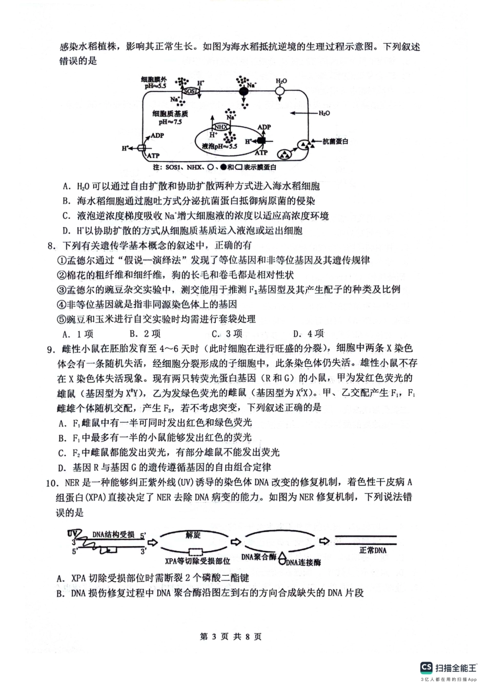 绵阳南山中学高2023级高三第二次教学质量检测生物+答案.pdf_第3页