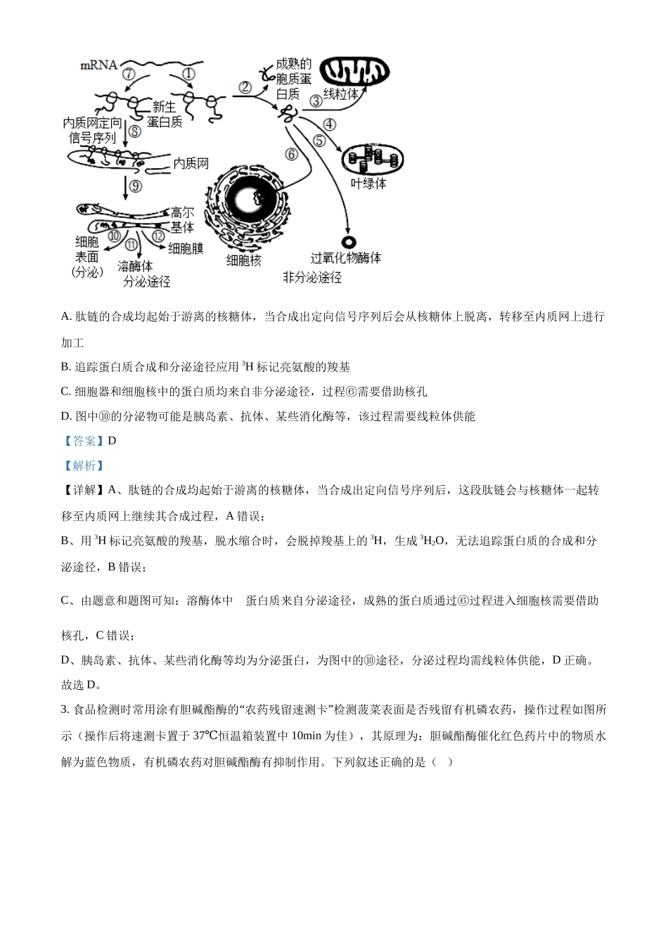 山西大学附中2025-2026学年高三上学期9月（总第三次）模块诊断生物答案.docx_第2页