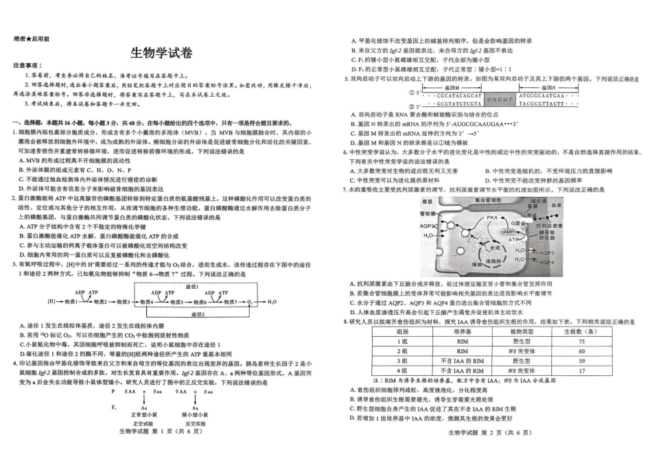 陕西省西安市新城区2026届高三9月考试生物+答案.pdf_第1页