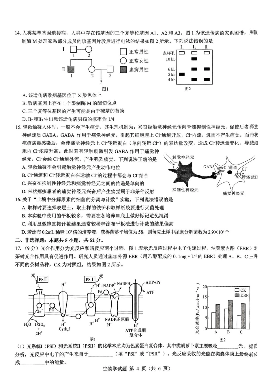陕西省西安市新城区2026届高三9月考试生物+答案.pdf_第3页