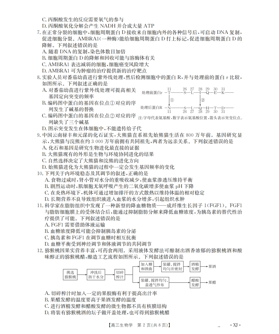 生物试卷(下标XJ)【老高考卷】新疆金太阳2026届高三9月开学联考（26-1002C）（9.9-9.10）.pdf_第2页