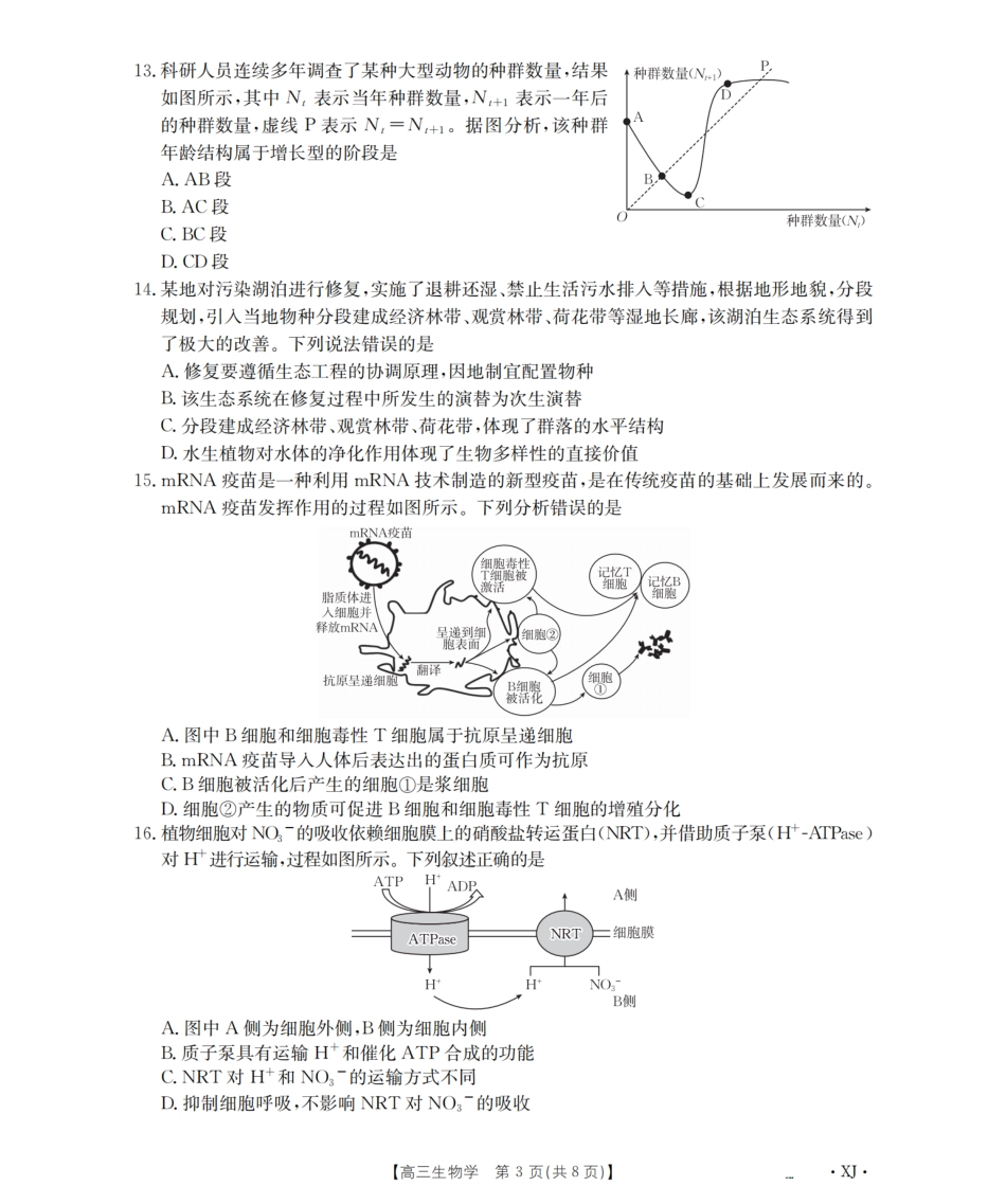 生物试卷(下标XJ)【老高考卷】新疆金太阳2026届高三9月开学联考（26-1002C）（9.9-9.10）.pdf_第3页