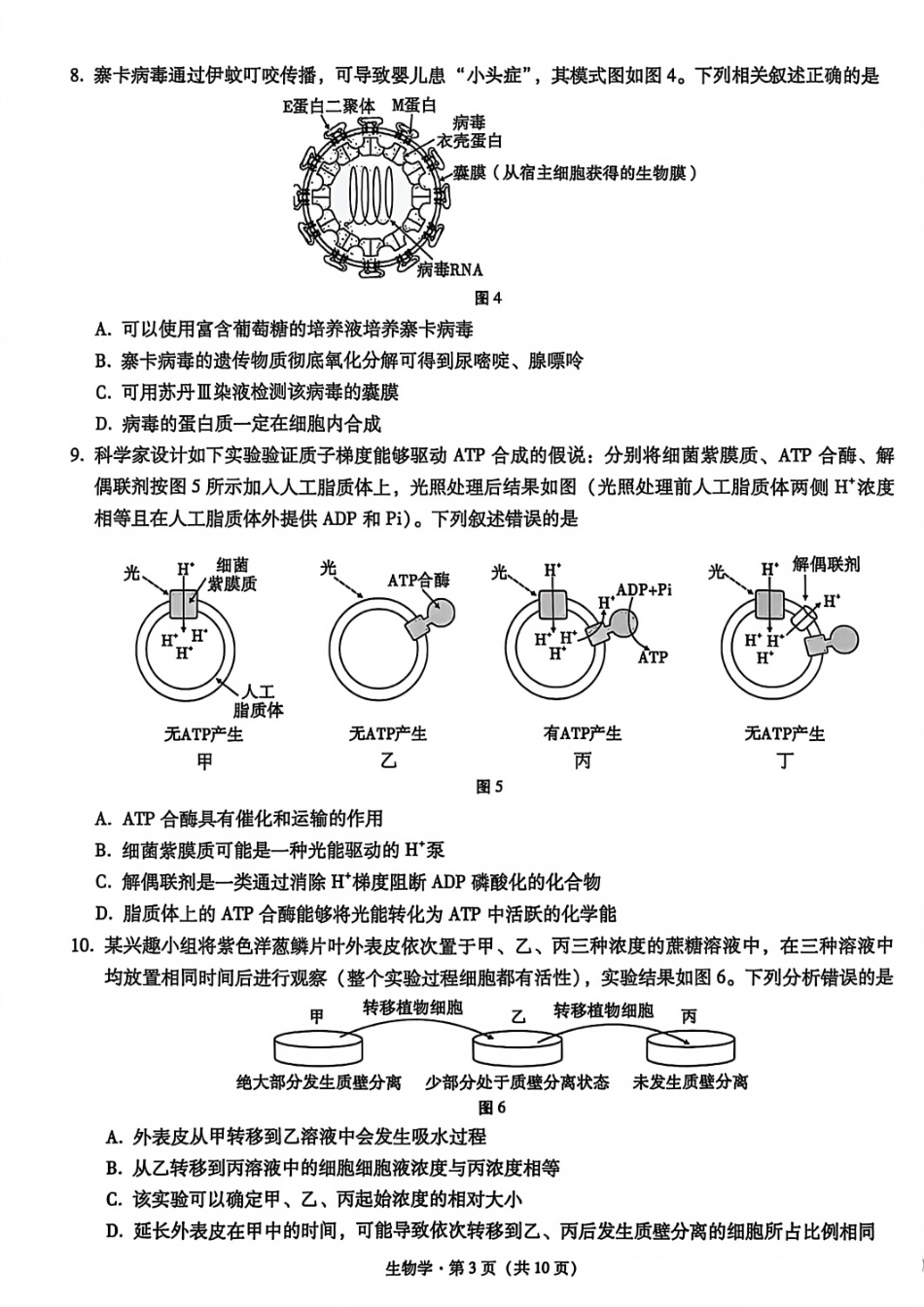 生物试卷【Top50强校】【重庆卷】重庆市巴蜀中学高2026届8月适应性月考(一)(8.28-8.29).pdf_第3页