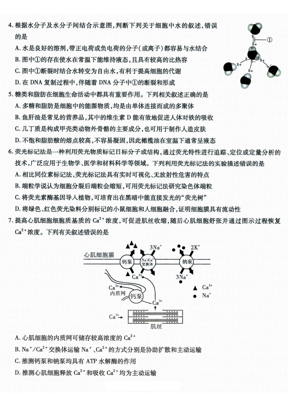 生物试卷【Top50强校】【重庆卷】重庆市南开中学2026届高三8月第一次质量检测(8.31-9.1).pdf_第2页