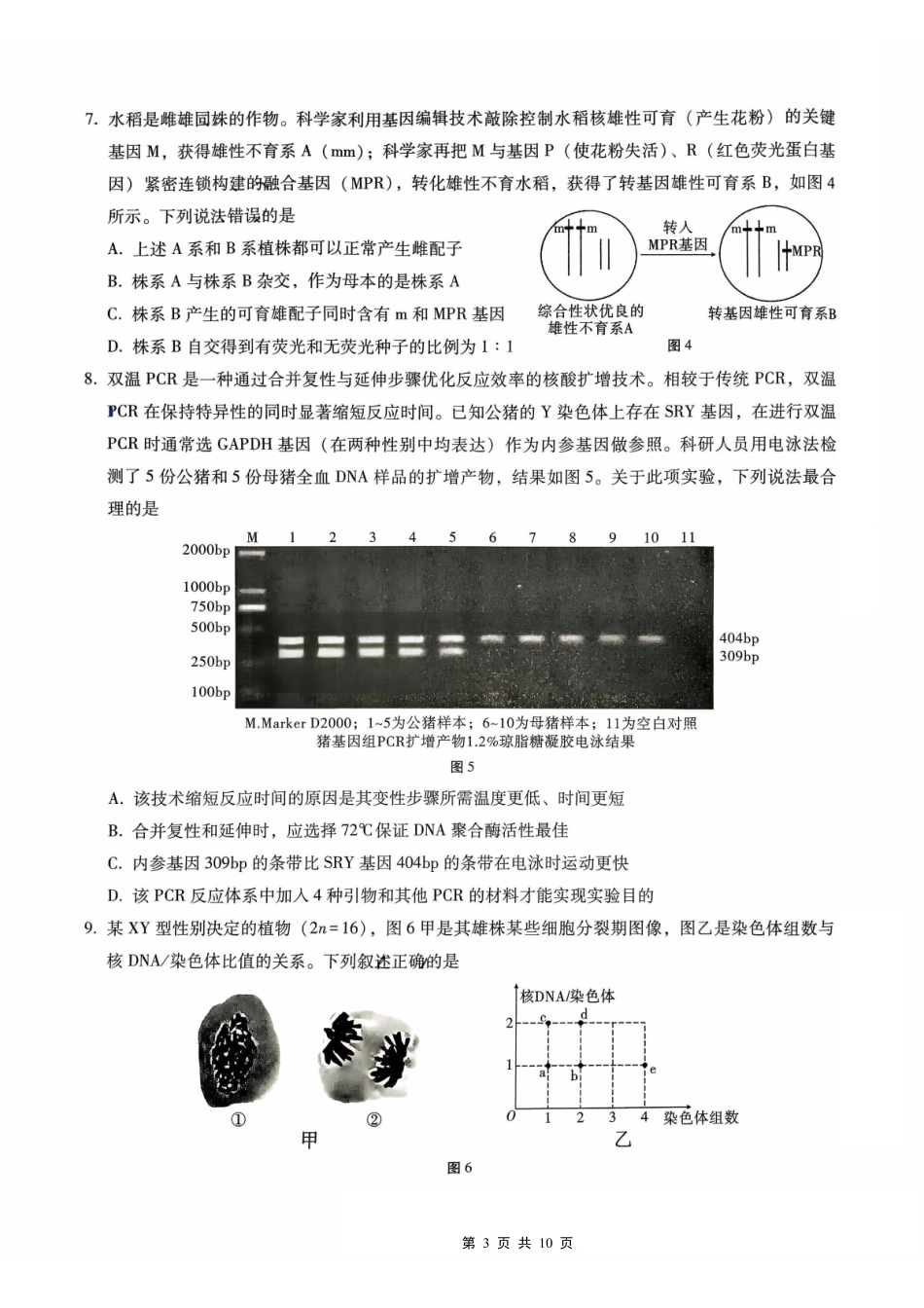 生物试卷【百强校】【重庆卷】重庆市第八中学高2026届高三9月高考适应性月考卷（一）（9.26-9.27）.pdf_第3页