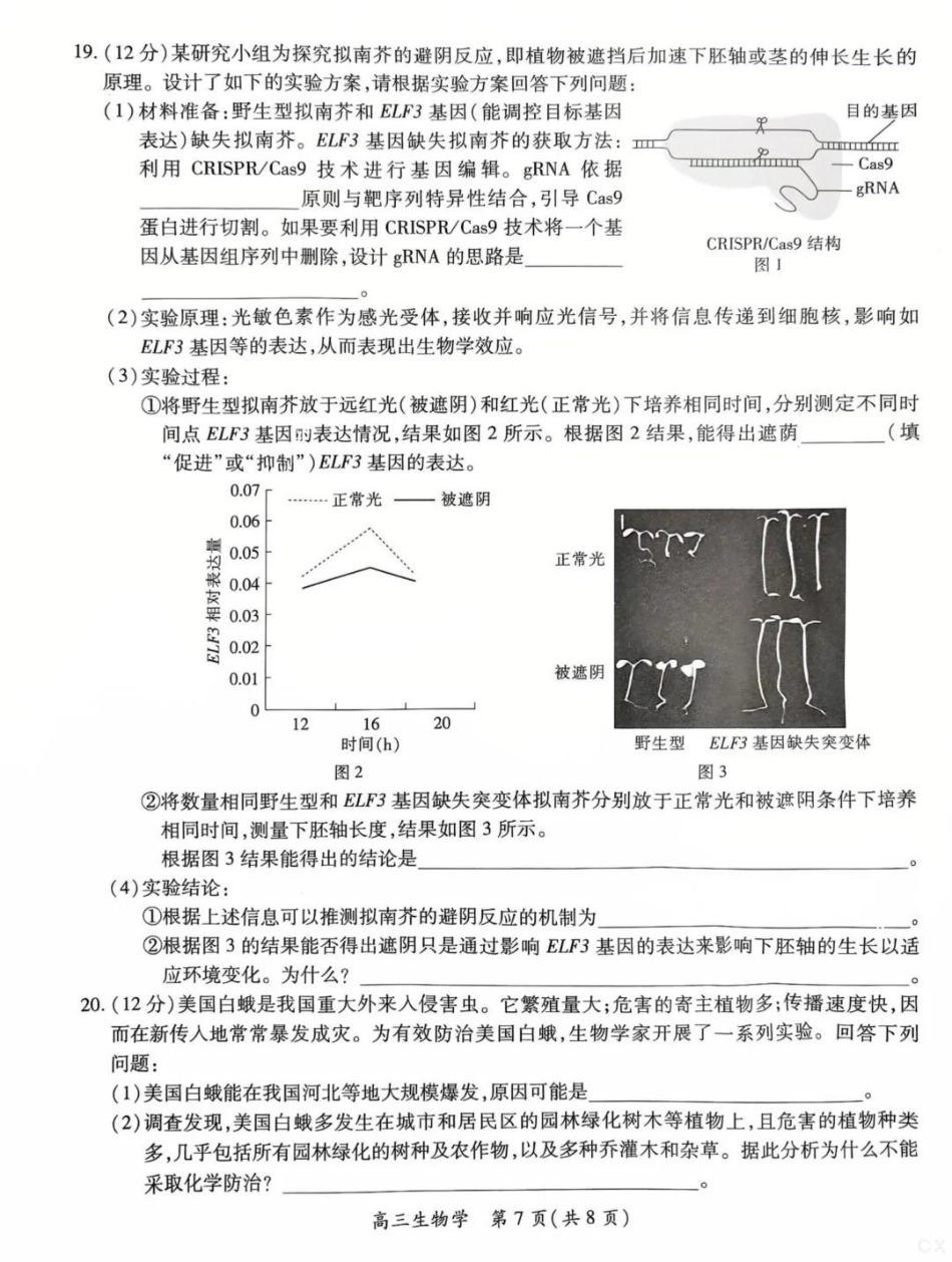生物试卷【高清版补齐重发】【江西卷】江西省稳派智慧上进联考2025-2026学年新高三秋季入学摸底考试（8.28-8.29）.pdf_第3页