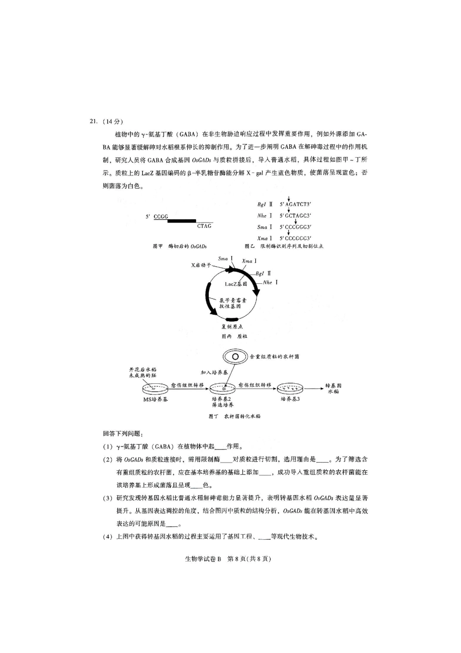 生物试卷【广东卷】广东省广州市2026届广州市高三年级阶段训练(广州零模)(8.21-8.22).pdf_第2页