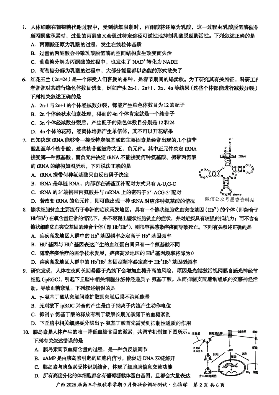 生物试卷【广西卷】广西壮族自治区邕衡教育名校联盟2026届高三年级秋季学期9月份联合调研测试(9.18-9.19).pdf_第2页