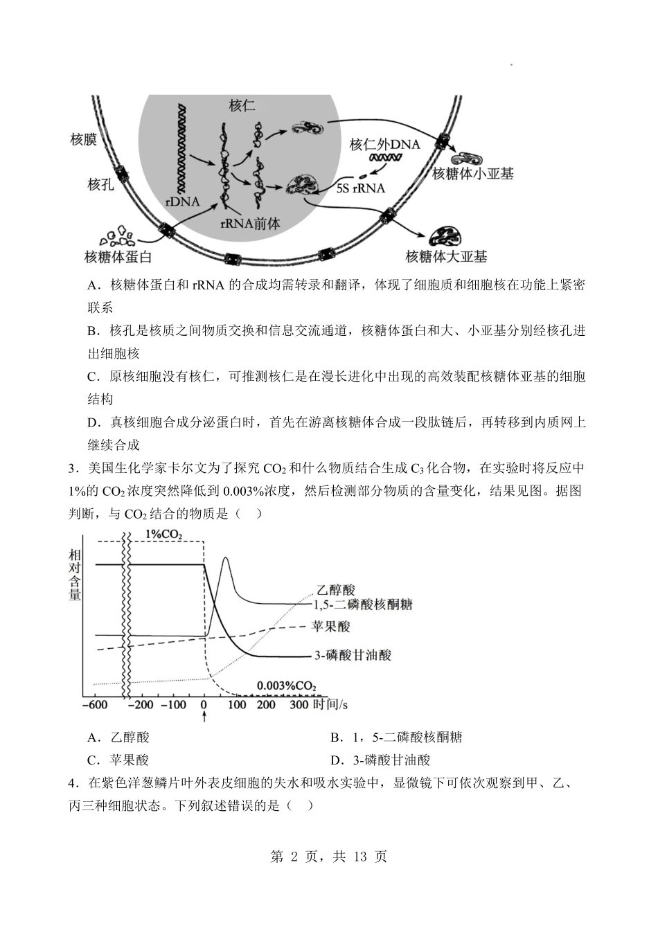 生物试卷【河北卷】河北省石家庄市第一中学2025-2026学年2026届高三年级上学期9月统一摸底考试(9.24-9.25).pdf_第2页
