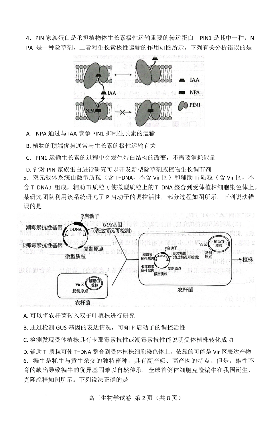 生物试卷【湖北卷】湖北省（黄石市荆门市鄂州市咸宁市恩施州）2026届高三9月起点考试（9.17-9.18）.pdf_第2页