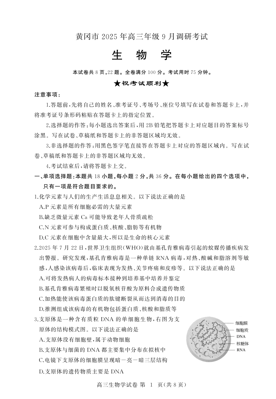 生物试卷【湖北卷】湖北省黄冈市2025年高三年级9月调研考试(黄冈九调)(9.16-9.17).pdf_第1页