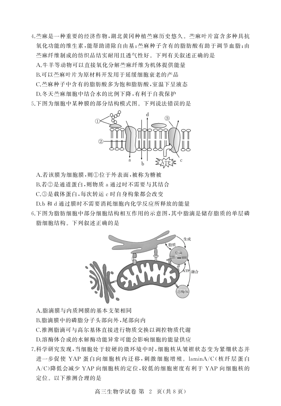 生物试卷【湖北卷】湖北省黄冈市2025年高三年级9月调研考试(黄冈九调)(9.16-9.17).pdf_第2页