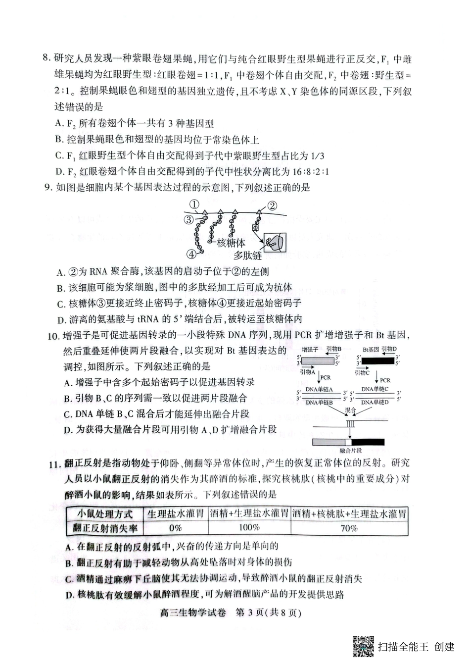 生物试卷【湖北卷】湖北省荆州市2026届高三(9月)起点考试(宜荆荆恩)(9.17-9.18).pdf_第3页