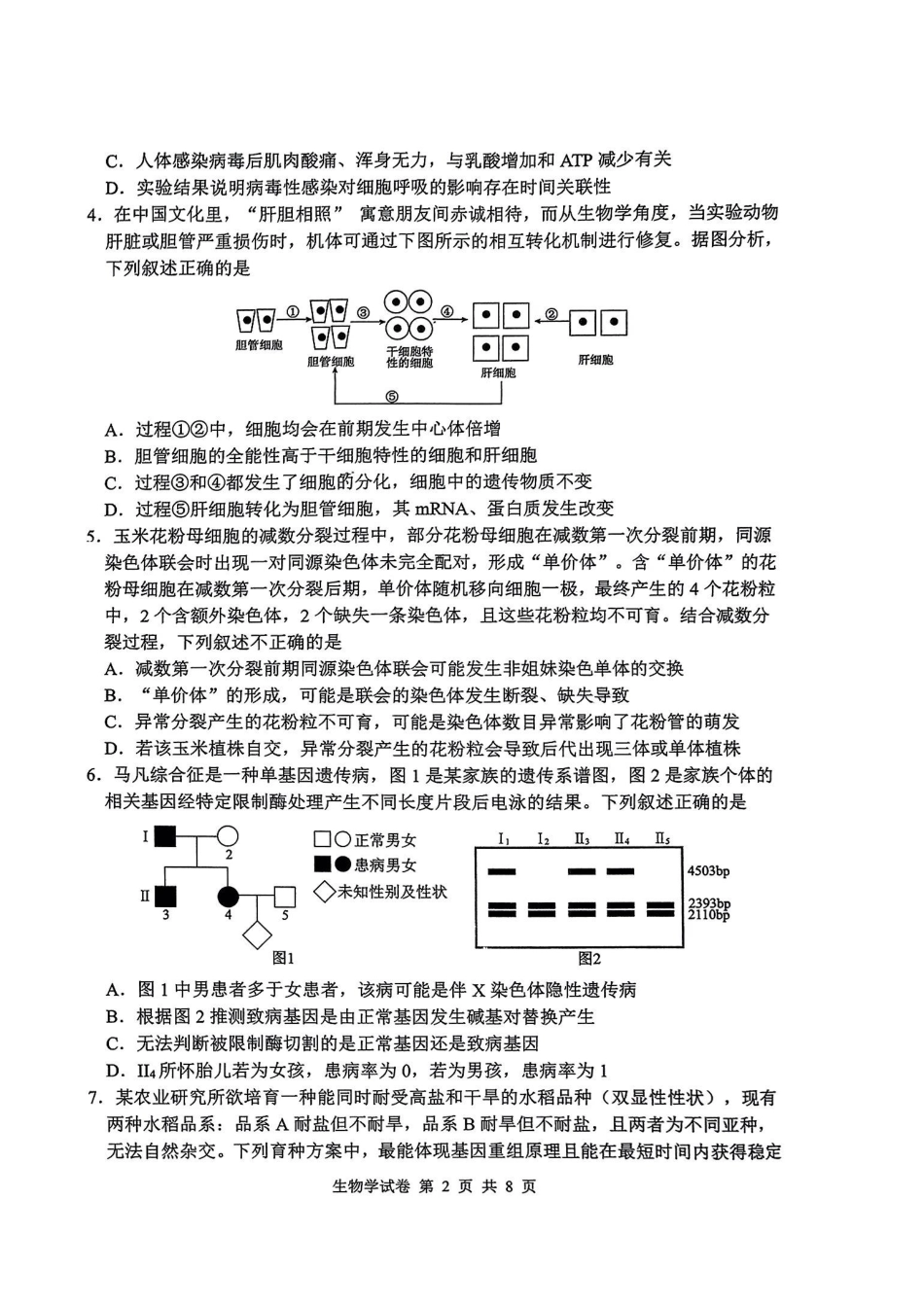 生物试卷【湖北卷】湖北省腾云联盟2025-2026学年度上学期高三年级8月联考(8.13-8.14).pdf_第2页