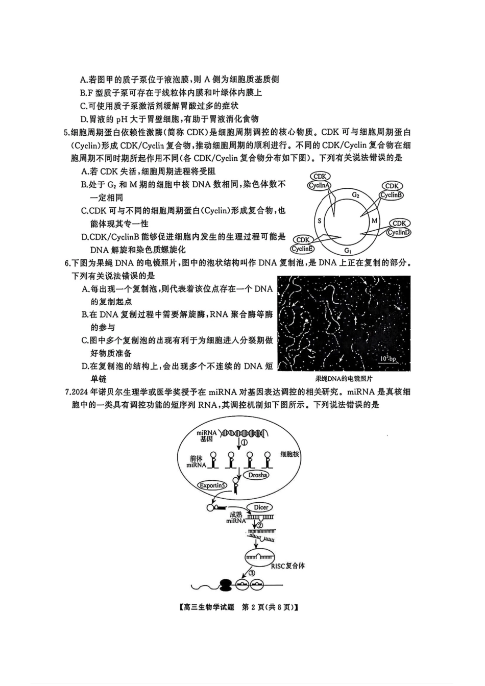 生物试卷【湖南卷】【超清版】湖南省天壹名校联盟2026届高三8月入学考试（湘潭市2026届高三第一次模拟考试）（8.28-8.29）.pdf_第2页