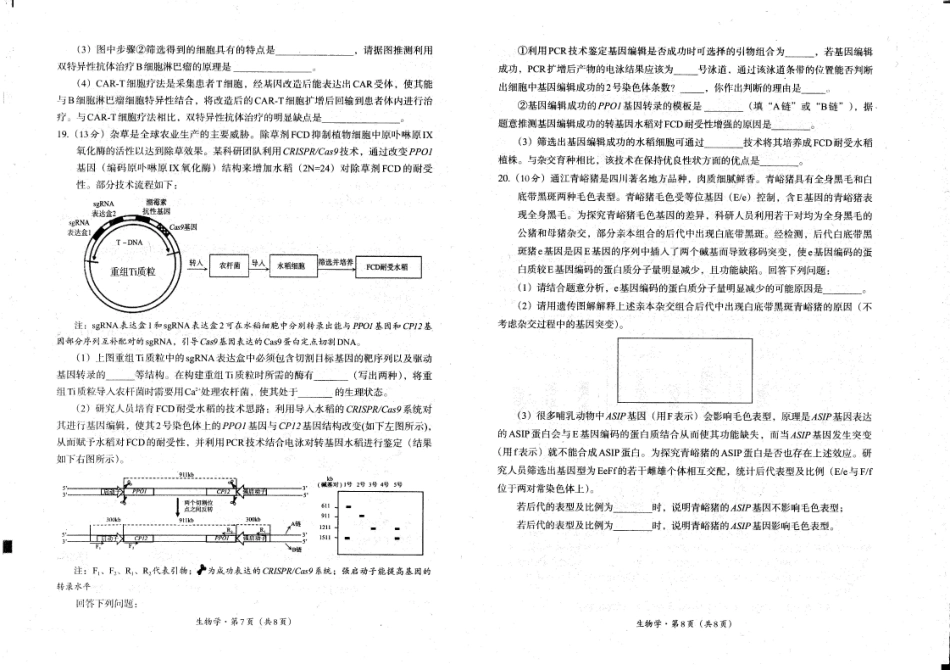 生物试卷【四川卷】四川省巴中市普通高中2023级(2026届)高三“零诊”考试（巴中零诊）（9.17-9.19）.pdf_第2页