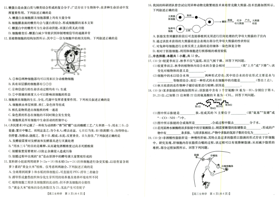 生物试卷【西北卷】【陕西卷】陕西省金太阳2026届高三9月开学联考（26-15C）（9.4-9.5）.pdf_第2页
