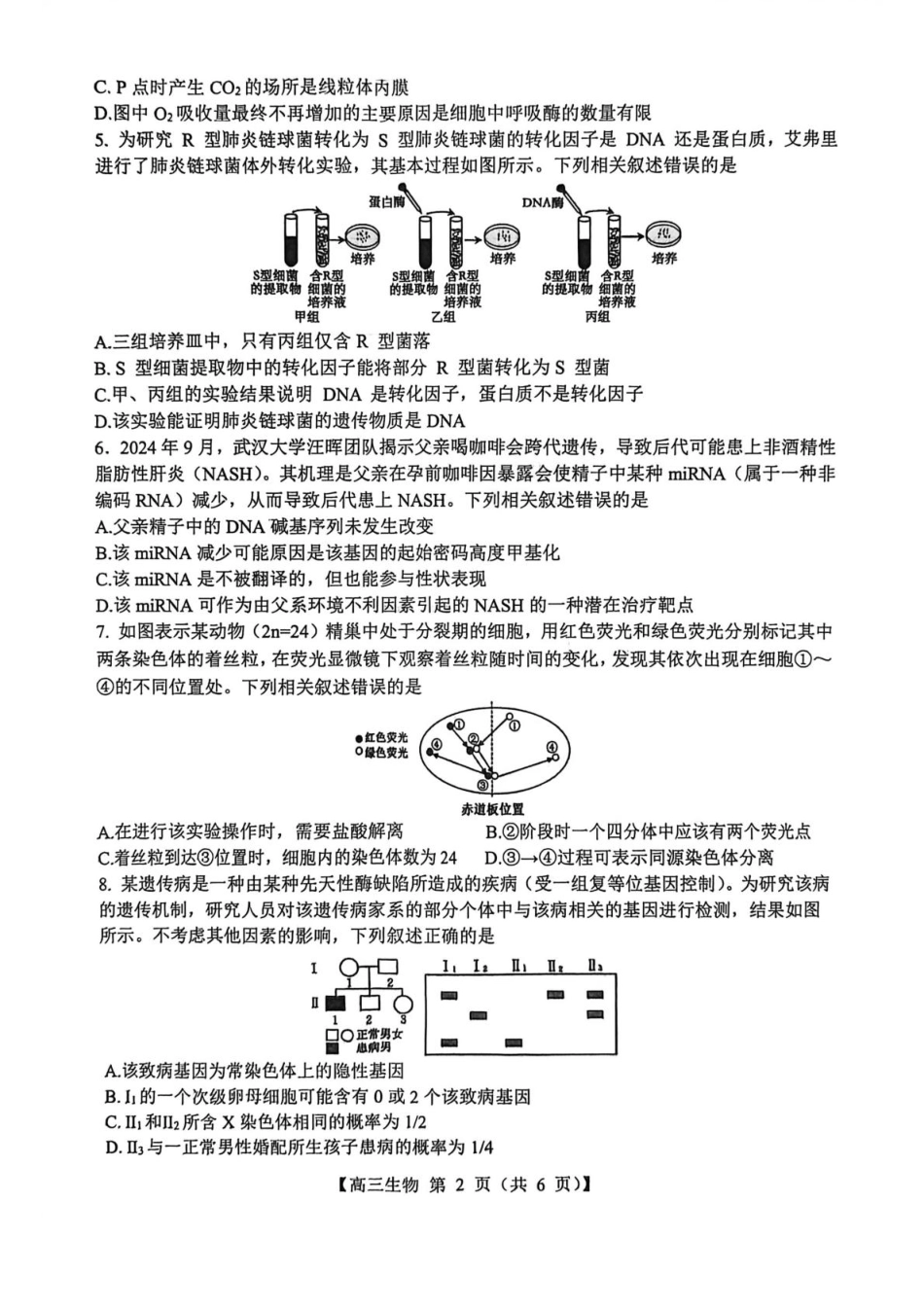 生物试卷+答案26003C2025年8月高三年级阶段性测试(8.21-8.22).pdf_第2页