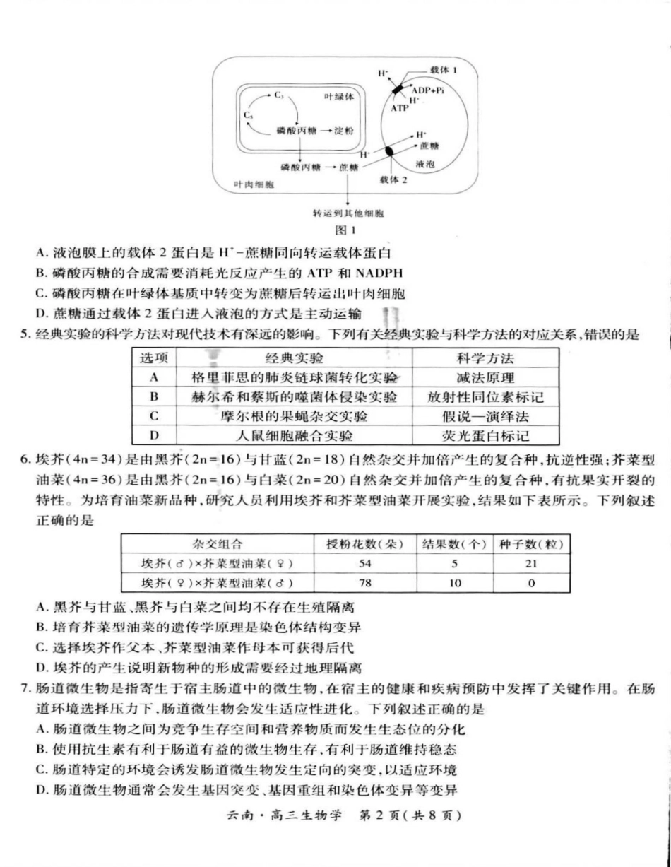 生物试卷+解析【云南卷】云南省上进联考云南民族大学附属高级中学2026届高三上学期联考（一）（8.25-8.26）.pdf_第2页