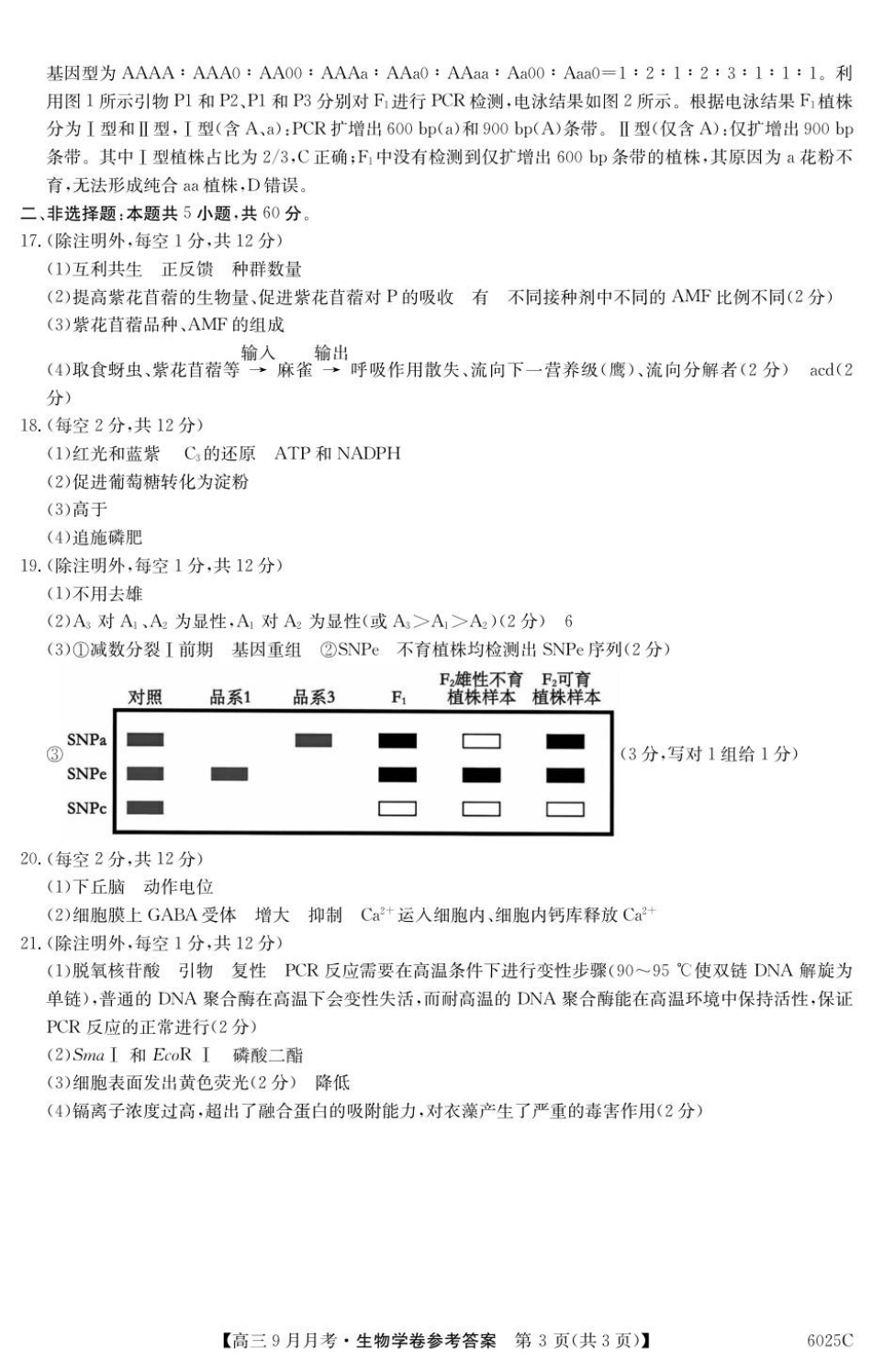 生物试卷答案【广东卷卷】广东省纵千文化2025-2026学年高三上学期9月月考（6025C）（9.12-9.13）.pdf_第3页