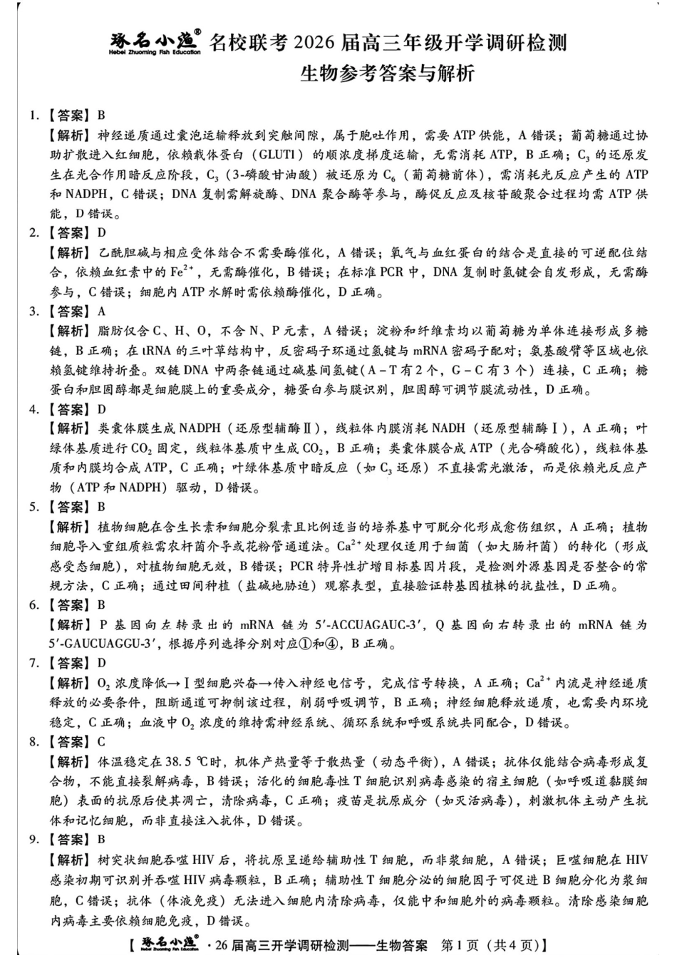 生物试卷答案【河北卷】河北省琢名小鱼名校联考2026届高三年级开学调研检测(9.1-9.2).pdf_第1页