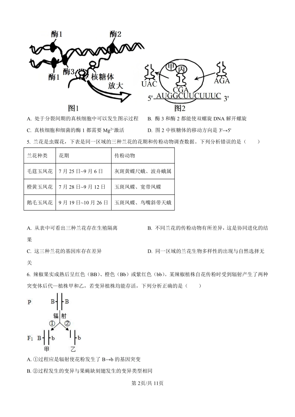 生物试题卷（原卷版）【河北卷】河北省保定市四校2025-2026学年高三上学期9月月考(9.17-9.18).pdf_第2页