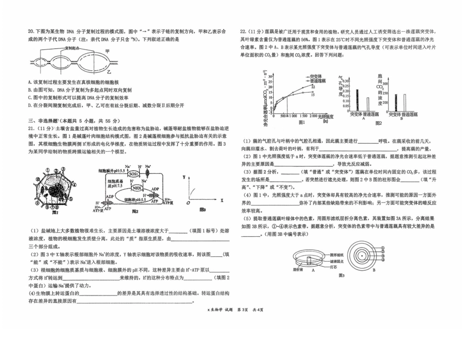 生物试题卷【百强校】【黑吉辽卷】黑龙江省牡丹江市第一高级中学2023级(2026届)高三学年上学期9月份月考（9.24左右）.pdf_第3页